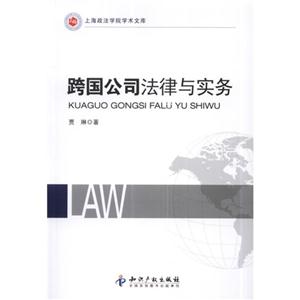 跨国公司法律与实务
