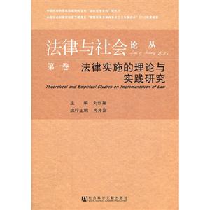 法律实施的理论与实践研究-第一卷