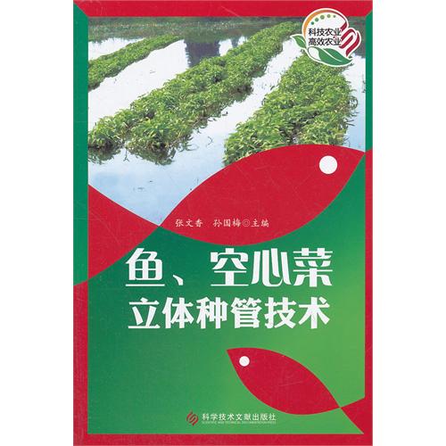 鱼.空心菜立体种管技术