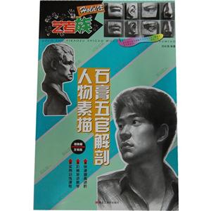 提高篇-石膏五官解剖人物素描-HOLD住 艺考族