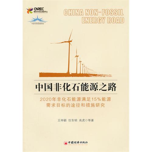 中国非化石能源之路-2020年非化石能源满足15%能源需求目标的途径和措施研究