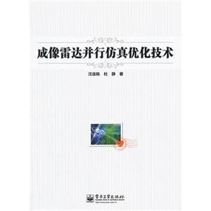 成像雷达并行仿真优化技术