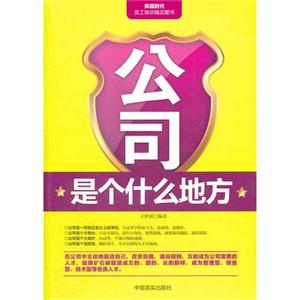 公司是个什么地方