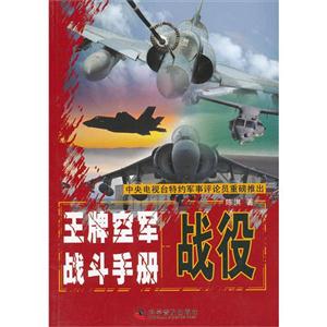 戰役-王牌空軍戰斗手冊