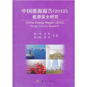 中国能源报告(2012):能源安全研究