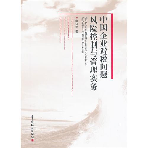 中国企业避税问题风险控制与管理实务