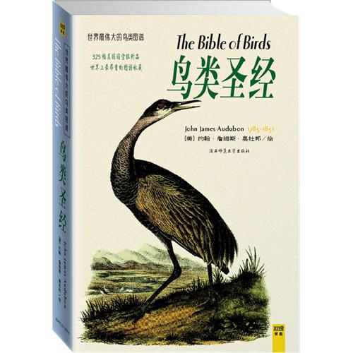 鸟类圣经:精装