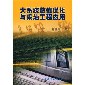 大系统数值优化与采油工程应用