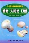 金针菇草菇银丝菇