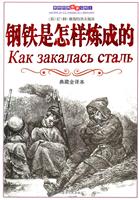 世界经典名著宝库II---钢铁是怎样练成的