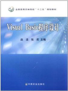 Visual Basic