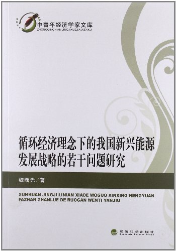 循环经济理论下的我国新兴能源发展战略的若干问题研究