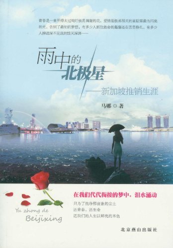 雨中的北极星-新加坡推销生涯