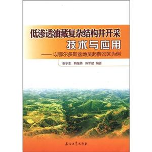 低渗透油藏复杂结构井开采技术与应用-以鄂尔多斯盆地吴起薛岔区为例