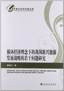 循环经济理论下的我国新兴能源发展战略的若干问题研究