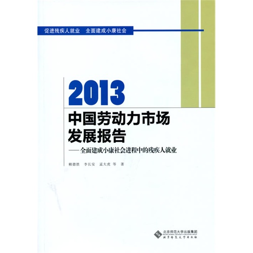 2013-中国劳动力市场发展报告-全面建成小康社会进程中的残疾人就业