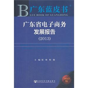 013-广东省电子商务发展报告-2013版"