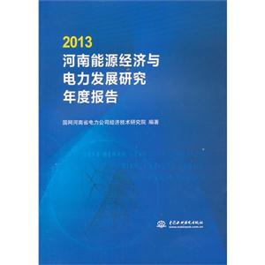 013-河南能源经济与电力发展研究年度报告"