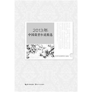 013年中国微型小说精选"