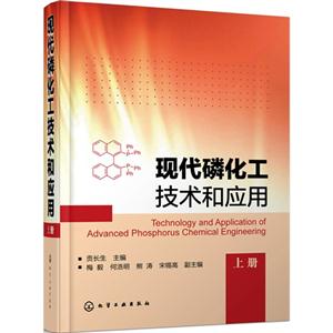 现代磷化工技术和应用-上册