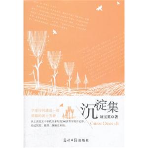 沉淀集