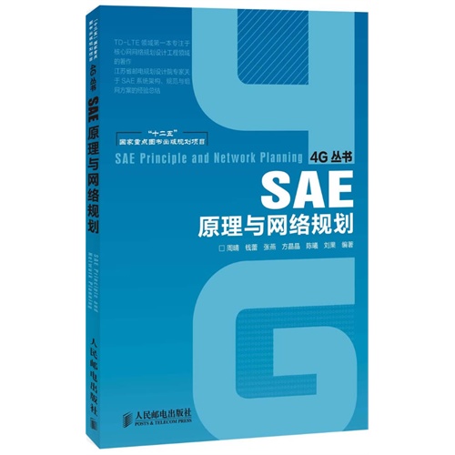 SAE原理与网络规划