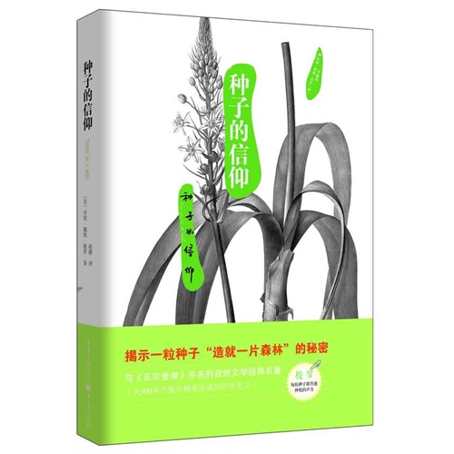 种子的信仰