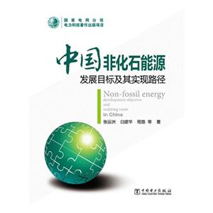 中国非化石能源发展目标及其实现路径