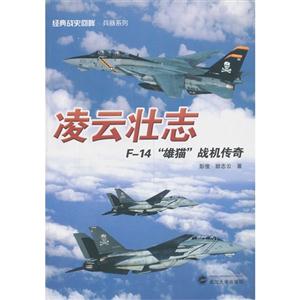 凌云壮志-F-14雄猫战机传奇