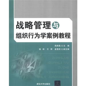 战略管理与组织行为学案例教程
