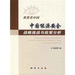 中国能源安全战略挑战与政策分析