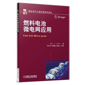 燃料电池微电网应用