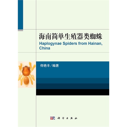 海南简单生殖器类蜘蛛