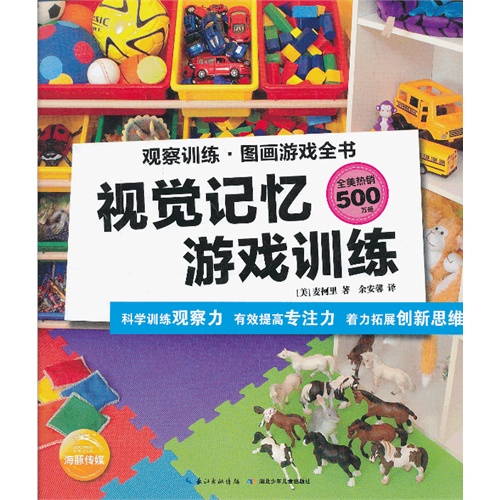 视觉记忆游戏训练-观察训练.图画游戏全书