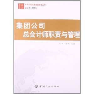 集团公司总会计师职责与管理