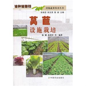 莴苣设施栽培