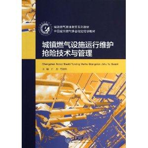 城镇燃气设施运行维护抢险技术与管理