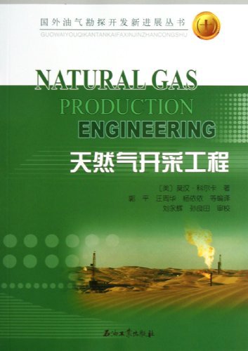 天然气开采工程-(十)