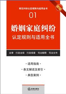 婚姻家庭纠纷认定规则与适用全书