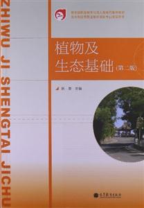 ֲＰBA-(ڶ)