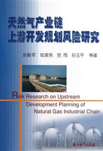 天然气产业链上游开发规划风险研究