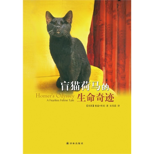 盲猫荷马的生命奇迹