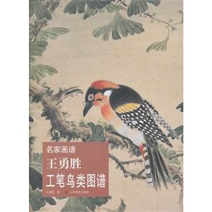 王勇胜工笔鸟类图谱-名家画谱