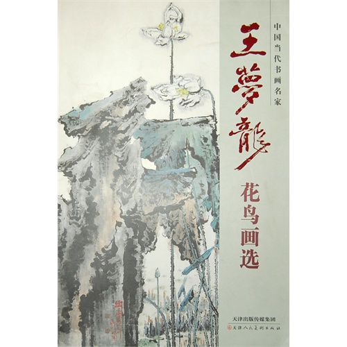 王梦龙花鸟画选-中国当代书画名家