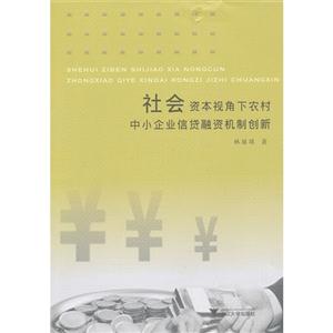 社会资本视角下农村中小企业信贷融资机制创新