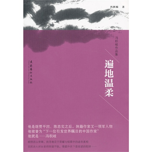 遍地温柔-冯积岐作品集