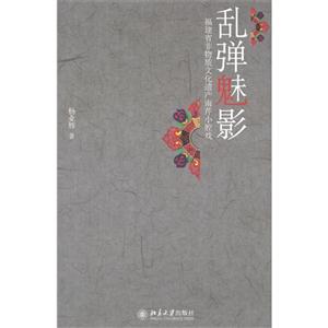 乱弹魅影-福建省非物质文化遗产南芹小腔戏
