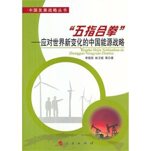 “五指合拳”:应对世界新变化的中国能源战略