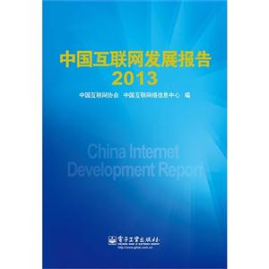 013-中国互联网发展报告"