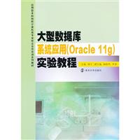 大型数据库系统应用(Oracle 11g)实验教程\/杨宁